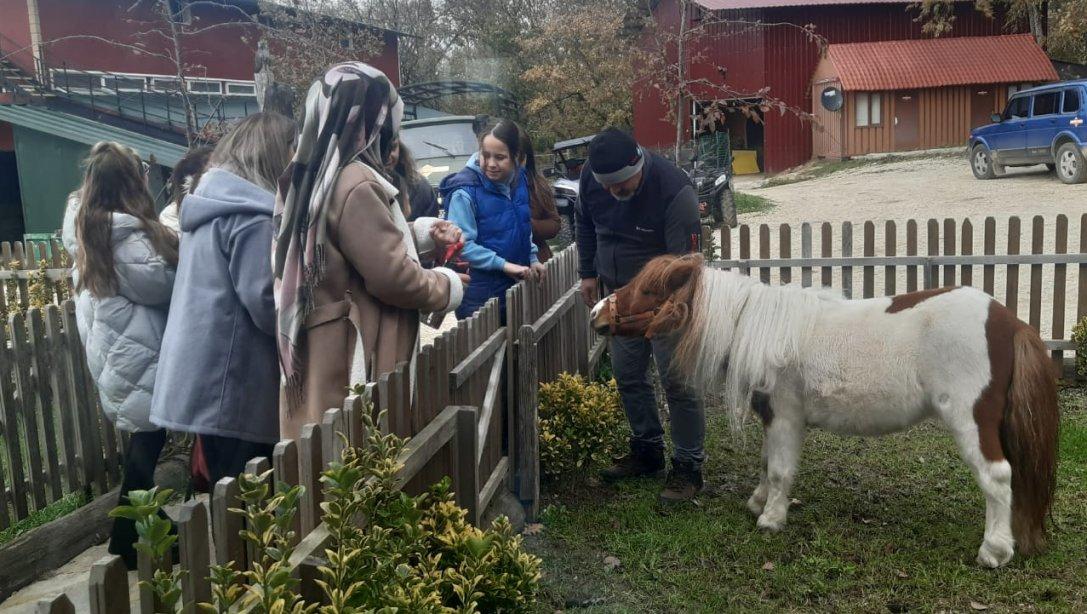 Demirköy İlçe Milli Eğitim Müdürlüğü At ile Terapi Etkinliğimiz